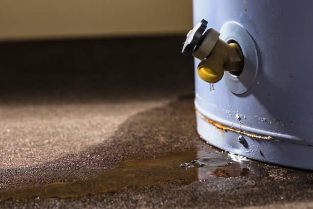 Best Commercial water damage restoration  in Travilah, MD