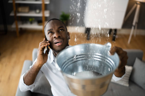 Best Ceiling water damage repair  in Travilah, MD