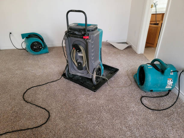 Best Basement water damage restoration  in Travilah, MD