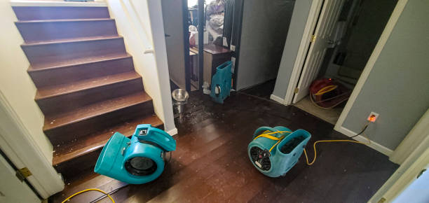 Best Water damage restoration near me  in Travilah, MD