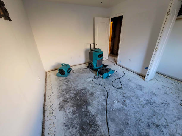 Best Water damage restoration near me  in Travilah, MD