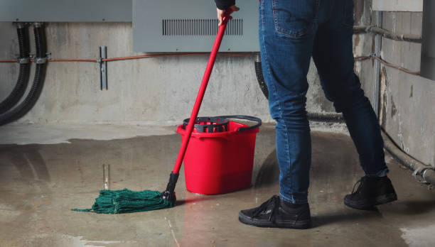 Water damage restoration insurance claims in Travilah, MD