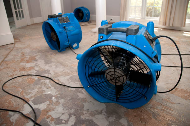 Best Sewage cleanup and water damage restoration  in Travilah, MD