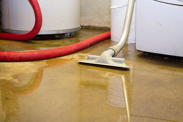 Best Water damage restoration cost  in Travilah, MD