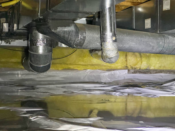 Best Mold removal after water damage  in Travilah, MD
