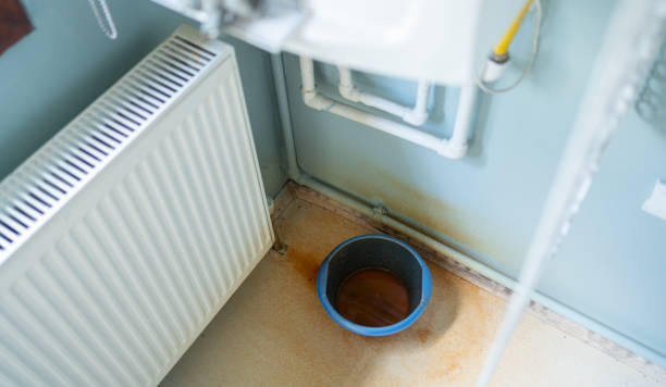 Best Professional water damage repair  in Travilah, MD