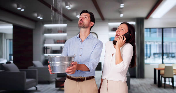 Best Local water damage restoration  in Travilah, MD